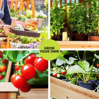 Elevated Raised Garden Bed Wooden Planter 120X60X80Cm