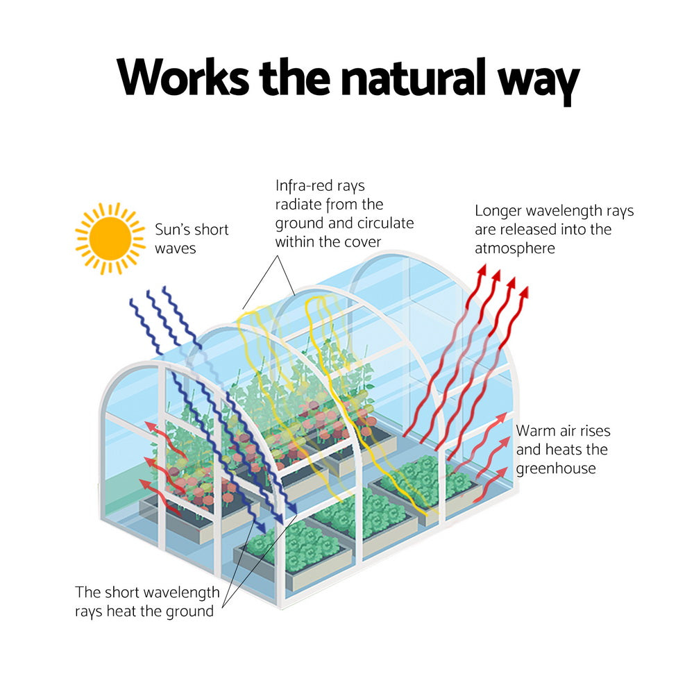 Green Fingers Greenhouse 100 x 80 x 150 cm – Clear PE