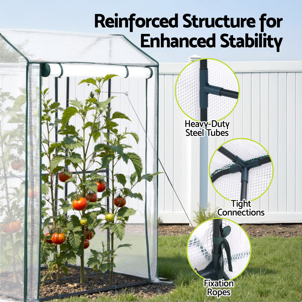Green Fingers Greenhouse 100 x 80 x 150 cm – Clear PE