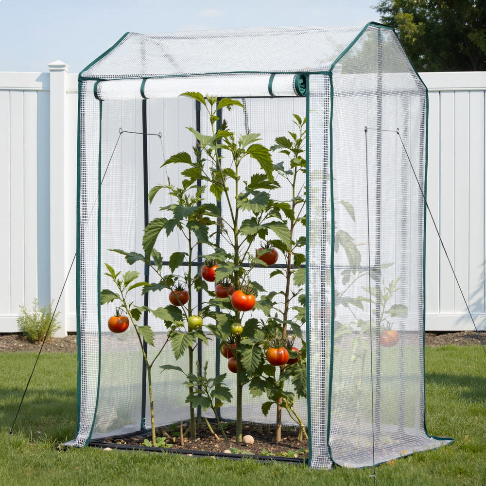 Green Fingers Greenhouse 100 x 80 x 150 cm – Clear PE