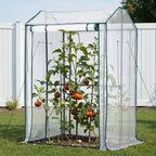 Green Fingers Greenhouse 100 x 80 x 150 cm – Clear PE