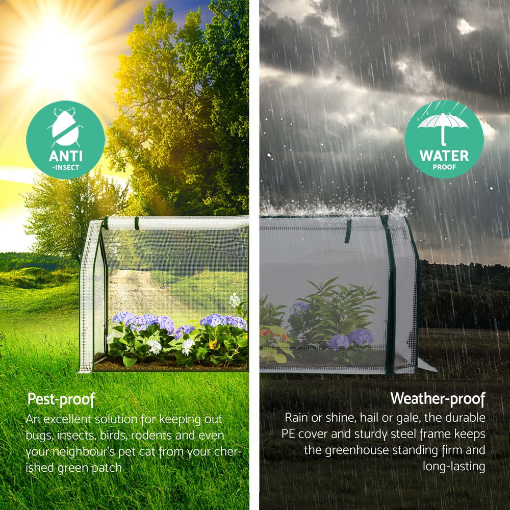 Green Fingers Mini Greenhouse 121 x 54 x 62 cm – Clear PE