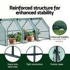 Green Fingers Tunnel Greenhouse 240 x 90 x 90 cm – Green PE