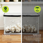 Green Fingers Mini Greenhouse 50 x 25 x 25 cm for Succulents & Seedlings