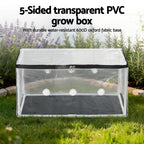 Green Fingers Mini Greenhouse 50 x 25 x 25 cm for Succulents & Seedlings