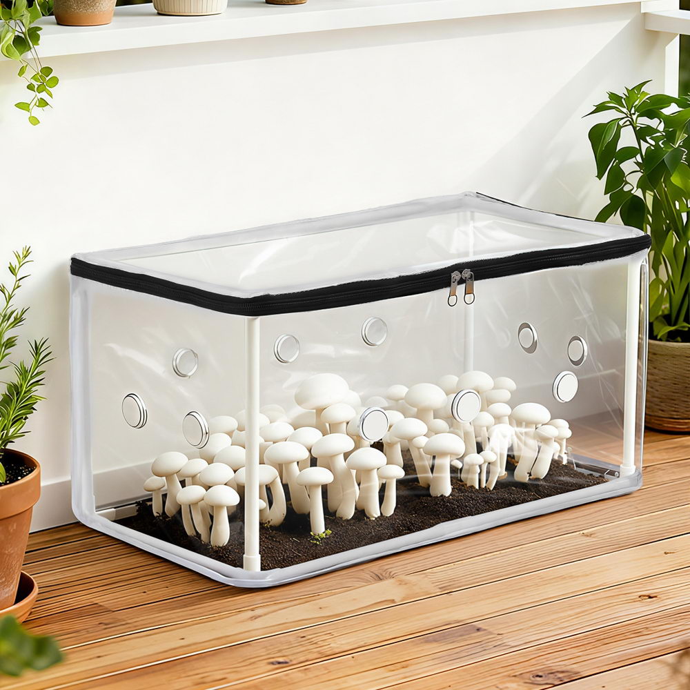 Green Fingers Mini Greenhouse 50 x 25 x 25 cm for Succulents & Seedlings