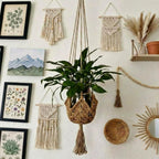 Boho Macramé Plant Hangers, 100 cm – Pack of 2, Green