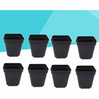 Square Black Seedling Pots, 6 x 6 x 6.5 cm – 50 Pack