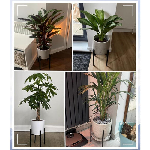 Adjustable Metal Plant Stand for 20–30 cm Pots