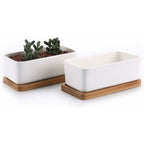 Ceramic Succulent Pots with Bamboo Trays, 17 cm – Set of 2, White