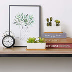 Ceramic Succulent Pots with Bamboo Trays, 17 cm – Set of 2, White