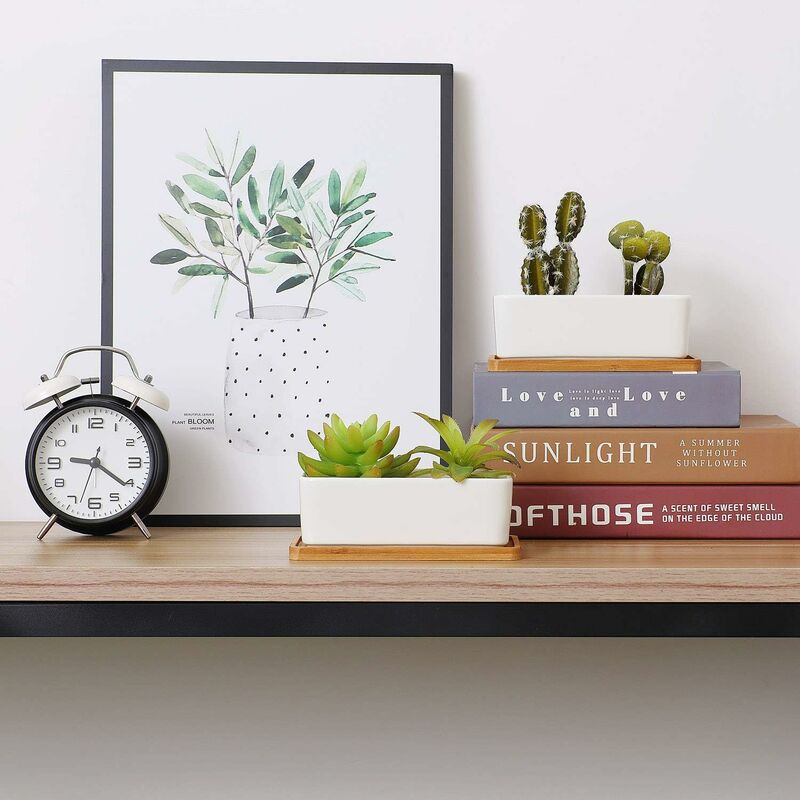 Ceramic Succulent Pots with Bamboo Trays, 17 cm – Set of 2, White