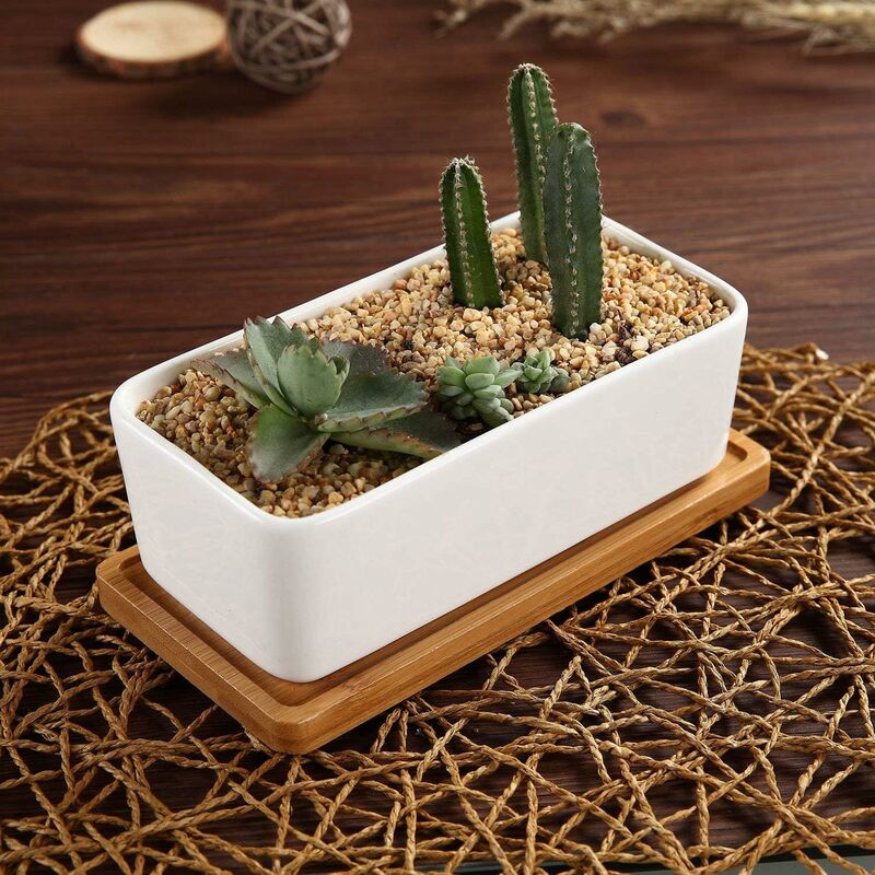 Ceramic Succulent Pots with Bamboo Trays, 17 cm – Set of 2, White