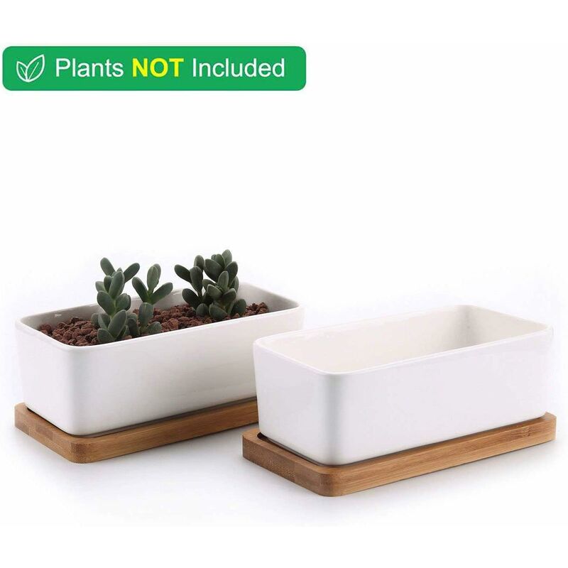 Ceramic Succulent Pots with Bamboo Trays, 17 cm – Set of 2, White