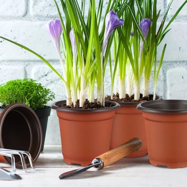 Soft Plastic Seedling Pots, 12 cm Reusable – Pack of 100
