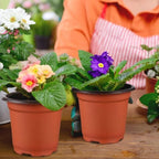Soft Plastic Nursery Pots, 100 mm – 100 Pack