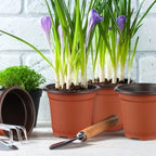 Soft Plastic Nursery Pots, 110 mm – 100 Pack