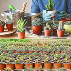 Soft Plastic Nursery Pots, 110 mm – 100 Pack