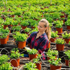 Soft Plastic Nursery Pots, 90 mm – 100 Pack