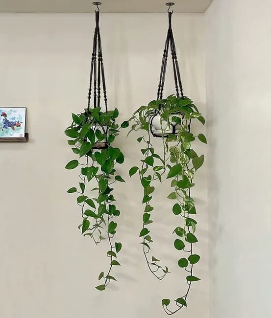 Boho Beaded Macramé Plant Hangers, 90 cm – Pack of 3, Black