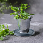Rolling Plant Caddy, 19.3 cm Round Saucer with 4 Wheels – Dark Grey