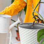 Pet-Proof Plant Pot Grid Covers, 30 cm – Set of 2 (Alt.)