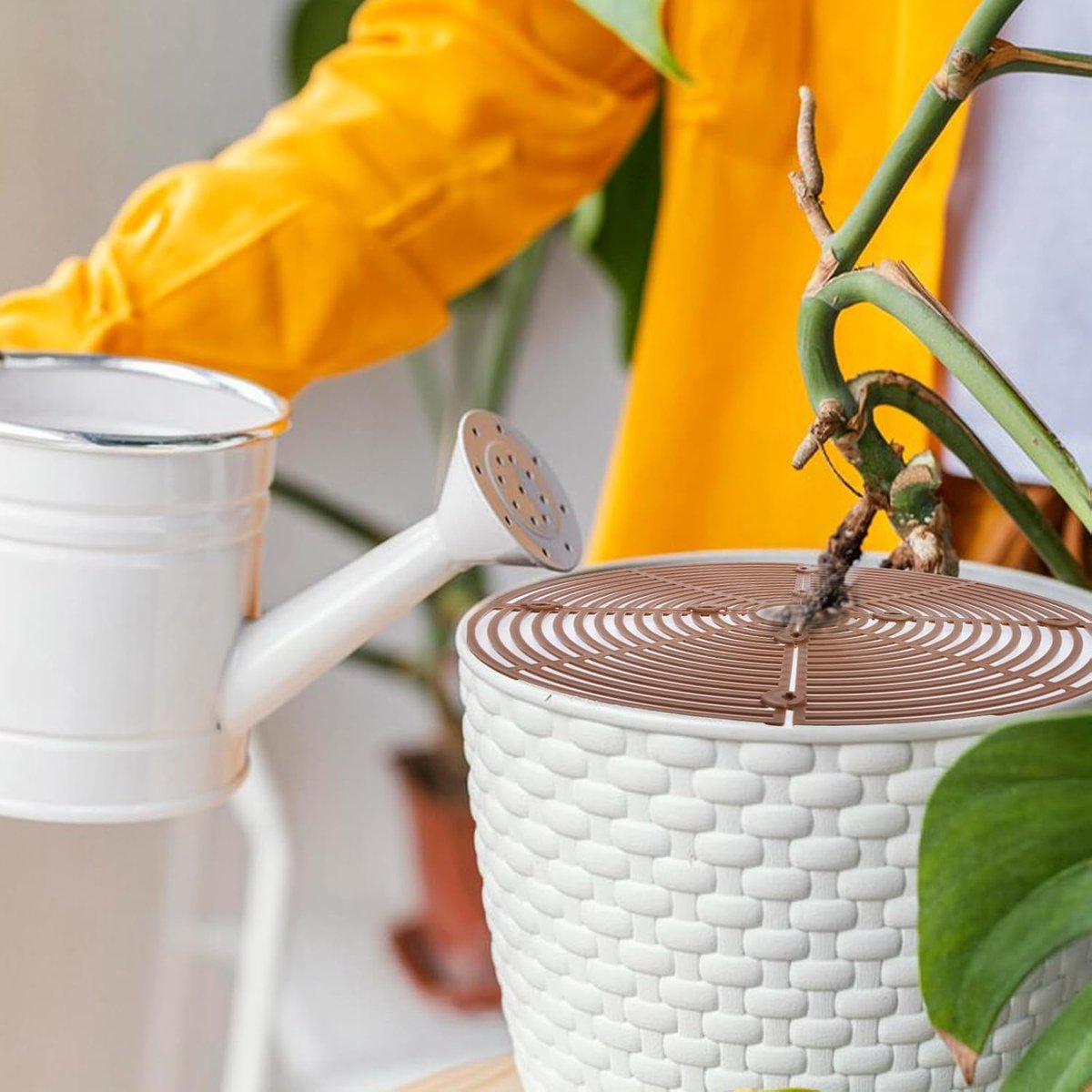 Pet-Proof Plant Pot Grid Covers, 30 cm – Set of 2