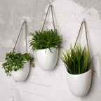 White Ceramic Wall Hanging Pots – Set of 3