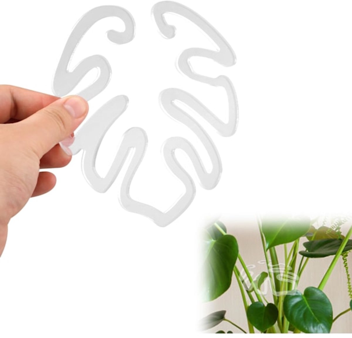 Acrylic Monstera Leaf Supports, 14 x 13 cm – Pack of 20