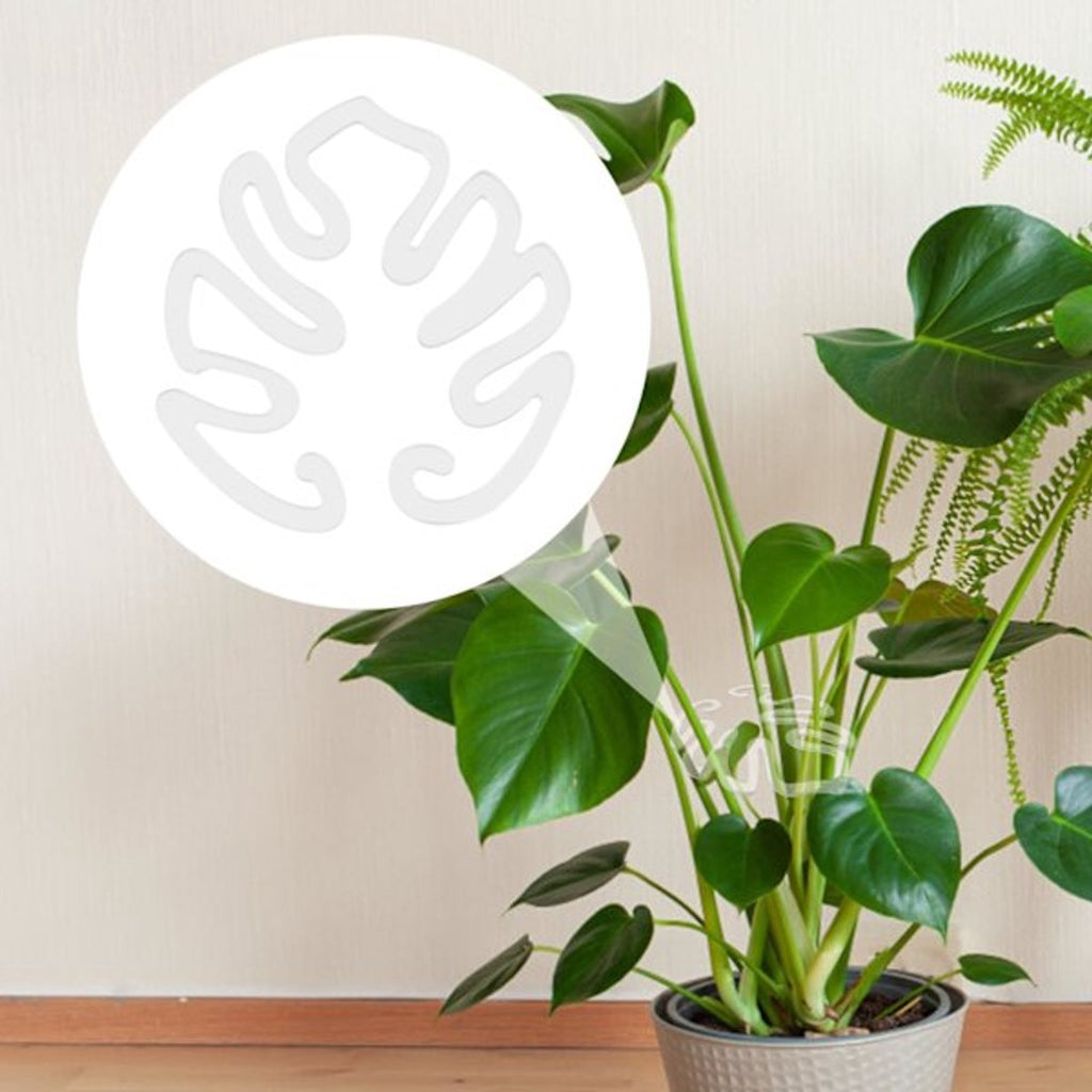 Acrylic Monstera Leaf Supports, 14 x 13 cm – Pack of 20