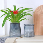 Self-Watering Wick Pot with Water Level Window, 10 x 12 cm – Grey (Saver)