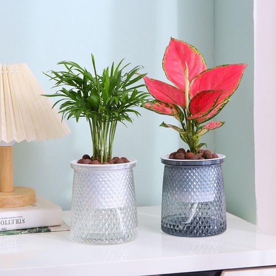 Self-Watering Wick Pot with Water Level Window, 10 x 12 cm – Clear (Saver)