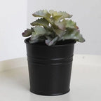 Metal Railing Bucket Planters with Detachable Hooks – 4 Pack, Black, 10 cm