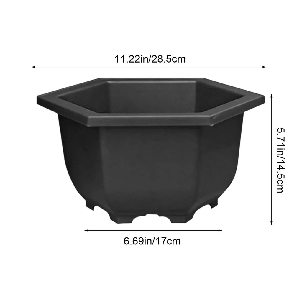 Hexagon Plastic Planter with Drainage and Water Reservoir, 28 cm