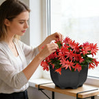 Hexagon Plastic Planter with Drainage and Water Reservoir, 28 cm