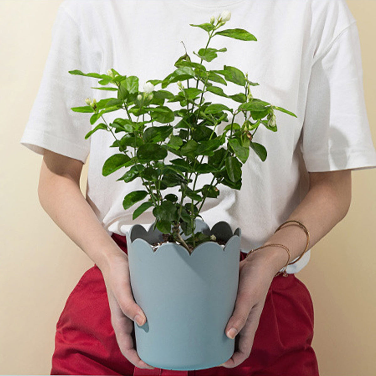 Modern Plastic Plant Pot with Saucer, 10.5 cm – Grey