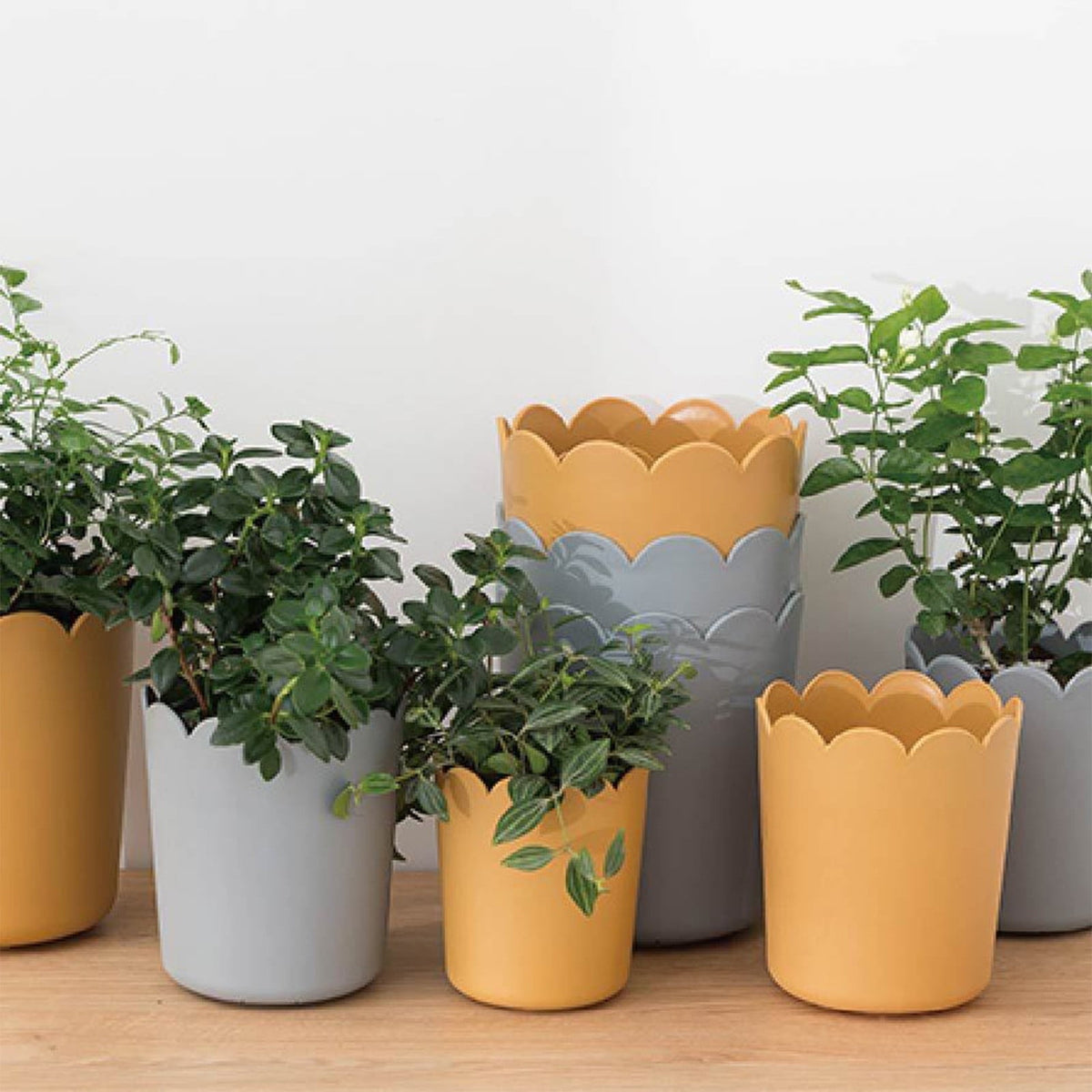 Modern Plastic Plant Pot with Saucer, 10.5 cm – Grey