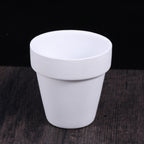 Small Terracotta Pots with Drainage Hole, 10 cm – Pack of 5, White