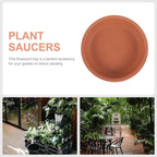 Terracotta Plant Saucers, 8 cm – Pack of 5