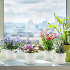 Plastic Plant Pots with Saucers, 12 cm – Pack of 8, White (Value)