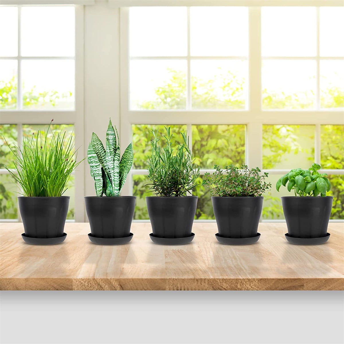 Plastic Plant Pots with Saucers, 10 cm – Pack of 8, Black (Value)