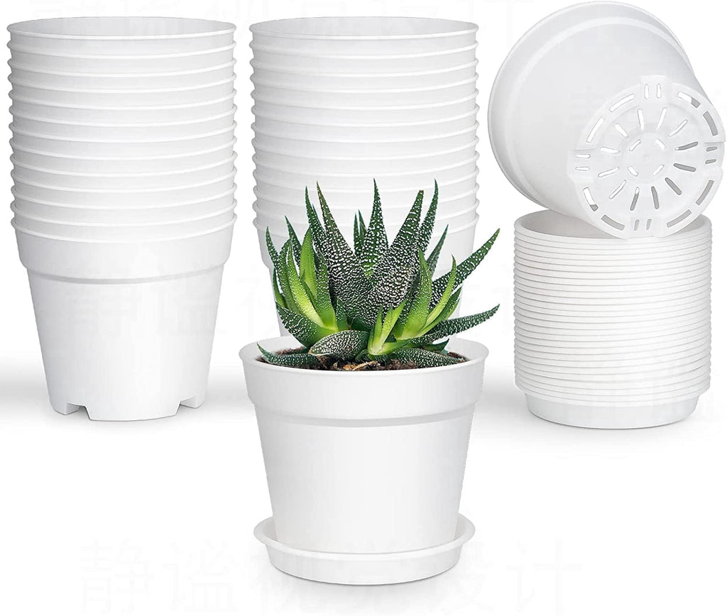 Plastic Plant Pots with Saucers, 10 cm – Pack of 8, White (Value)