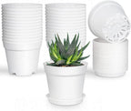 Plastic Plant Pots with Saucers, 10 cm – Pack of 8, White (Value)