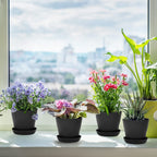 Plastic Plant Pots with Saucers, 10 cm – Pack of 8, Black