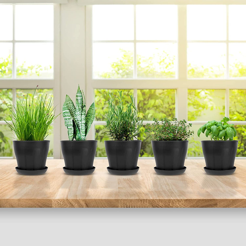 Plastic Plant Pots with Saucers, 10 cm – Pack of 8, Black