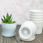 Plastic Plant Pots with Saucers, 10 cm – Pack of 8, White