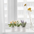 Plastic Plant Pots with Saucers, 12 cm – Pack of 8, White