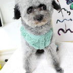 Knitted Cat & Small Dog Sweater, Green – XL