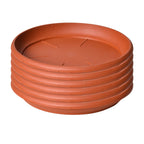 Heavy-Duty Plastic Plant Saucers, 9 cm – Pack of 6, Brown