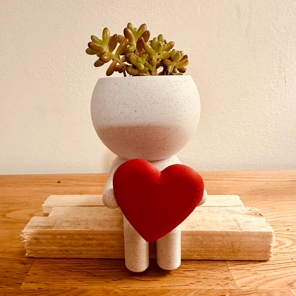 3D-Printed Air Plant Stand, 12.5 cm Desk Planter